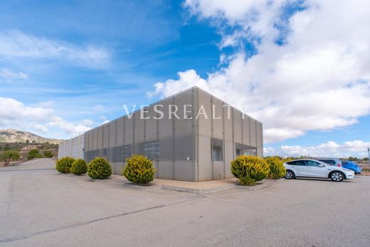 Rustykalny lub Wiejski w Jumilla, Murcia