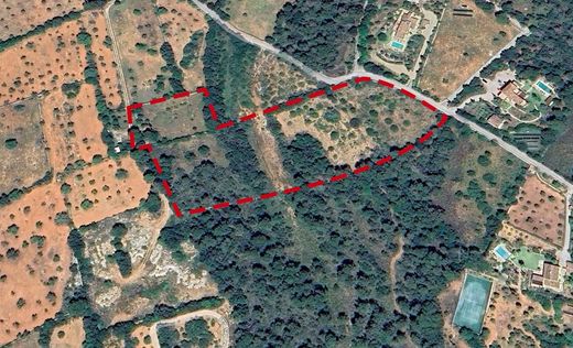 Grond in s'Alqueria Blanca, Balearen