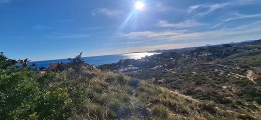 El Campello, アリカンテの土地