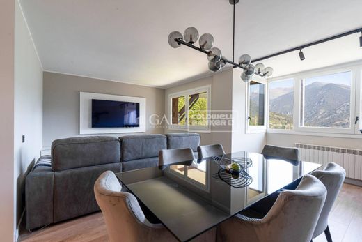 Apartment / Etagenwohnung in La Massana