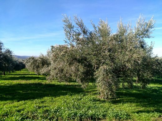 Grond in Aguilar, Province of Córdoba