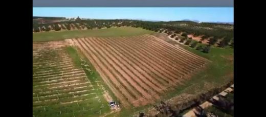 Grond in Mollina, Provincia de Málaga
