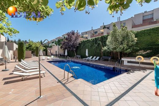 Смежная Вилла, Гранада, Provincia de Granada