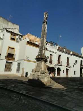 Luksusowy dom w Kordowa, Province of Córdoba