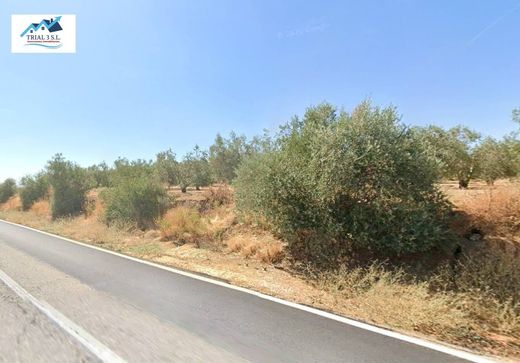 Land in Marchena, Province of Seville