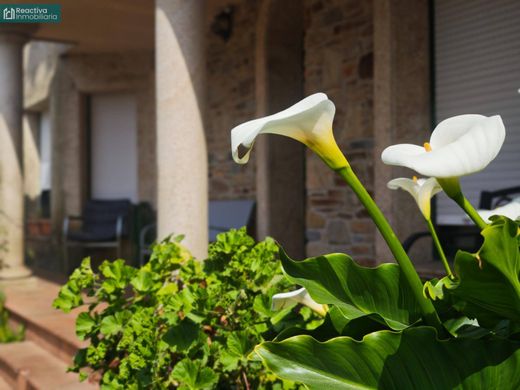 Einfamilienhaus in Teo, Provincia da Coruña