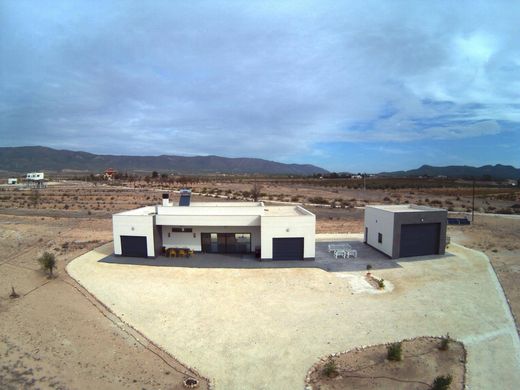 Villa en Pinoso, Provincia de Alicante