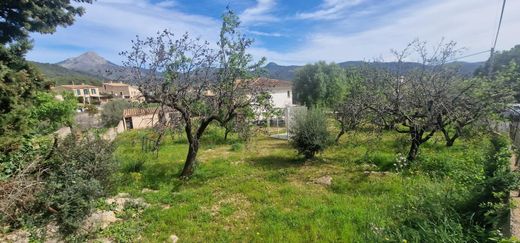 Calvià, Illes Balearsの土地