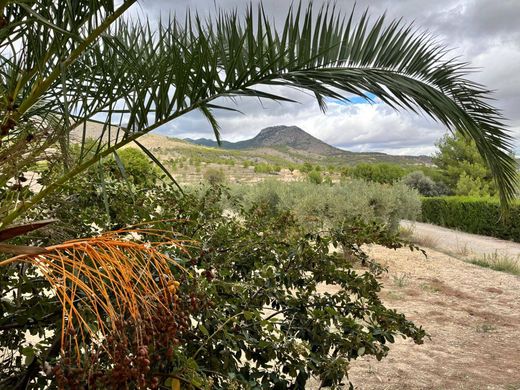 Rustik ya da çiftlik Caravaca de la Cruz, Murcia