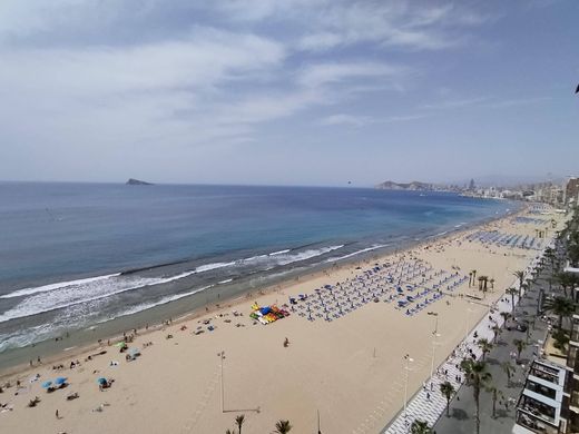 Daire Benidorm, Provincia de Alicante