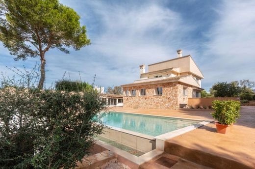 Daire Palma de Mallorca, Illes Balears