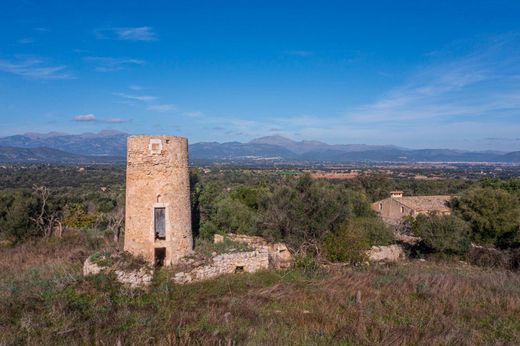 Land in Llubí, Province of Balearic Islands