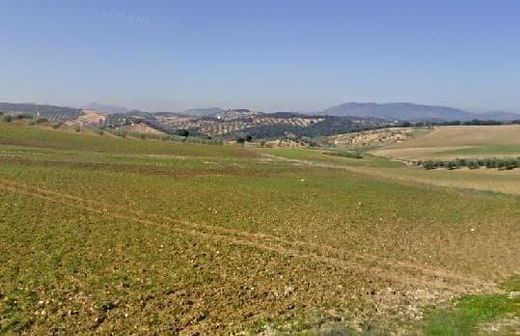 Land in Loja, Granada