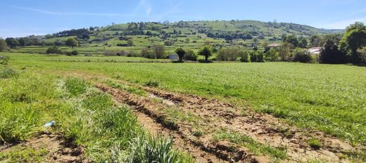‏קרקע ב  Santiurde de Toranzo, Provincia de Cantabria
