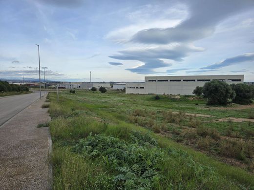 Terreno a Amposta, Província de Tarragona