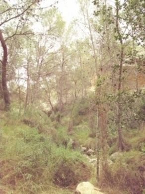 أرض ﻓﻲ Abanilla, Murcia