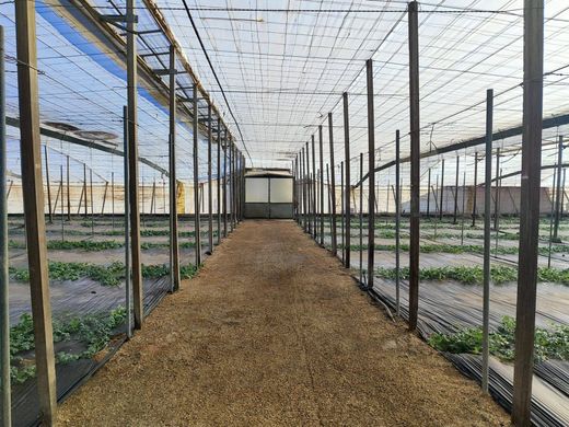 Grond in Níjar, Almería