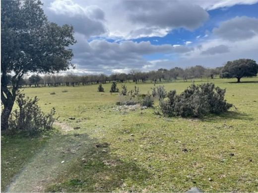 Land in Galapagar, Province of Madrid