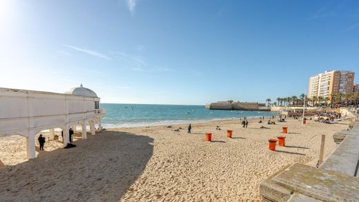 Daire Cádiz, Provincia de Cádiz
