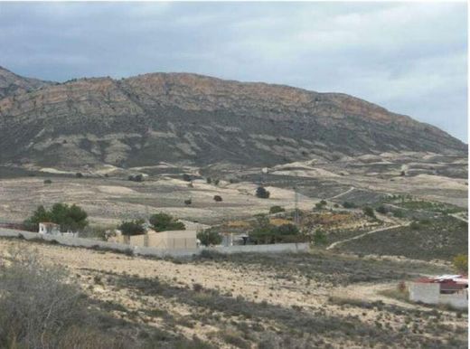 地皮  San Vicent del Raspeig, Provincia de Alicante