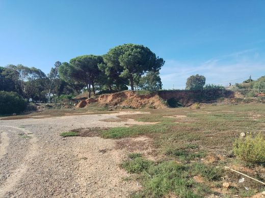 Grundstück in Chiclana de la Frontera, Cádiz