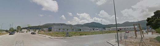 Arsa Oliva, Província de València