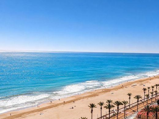 Apartamento - El Campello, Provincia de Alicante