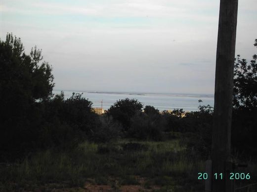 Rustykalny lub Wiejski w Alcanar, Província de Tarragona