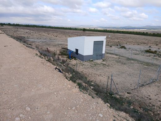 Участок, Екла, Murcia