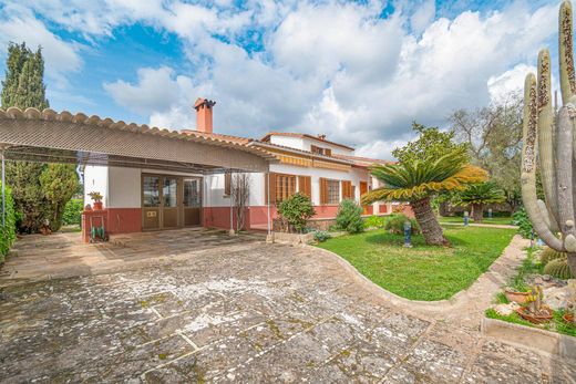 Casa Independente - Bunyola, Ilhas Baleares
