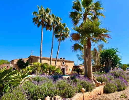 Rural or Farmhouse in Felanitx, Province of Balearic Islands