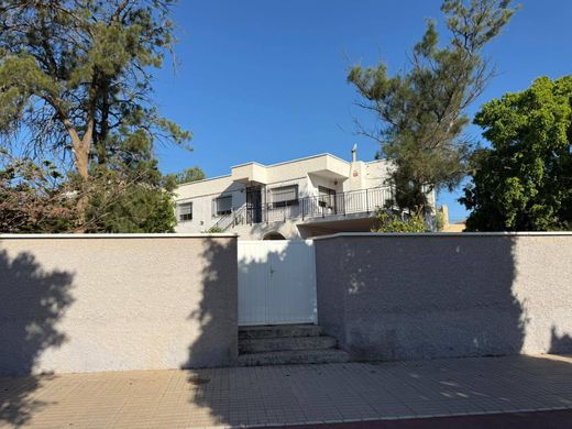 Müstakil ev El Ejido, Almería