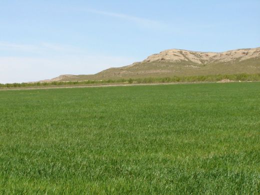 Yecla, ムルシアの土地