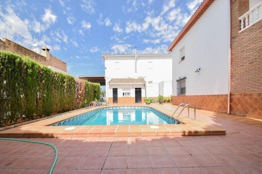 Detached House in Fuente Vaqueros, Granada