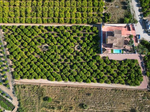 Dom miejski w Orihuela, Provincia de Alicante