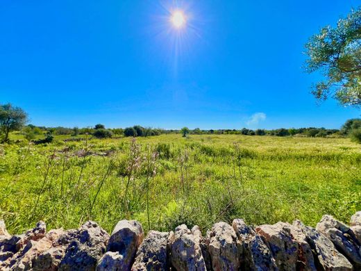 Teren w Santanyí, Illes Balears