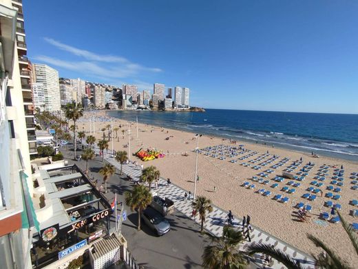Appartement à Benidorm, Alicante