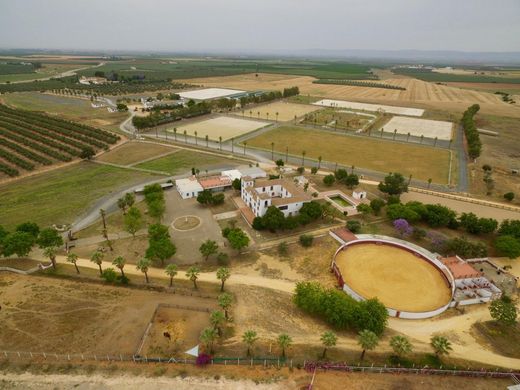 Rural ou fazenda - Carmona, Sevilha