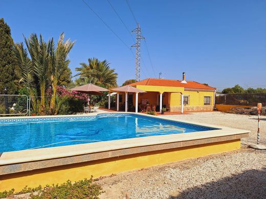 Detached House in Alicante, Valencia