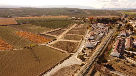 토지 / Estación de Illora-Lachar, Provincia de Granada