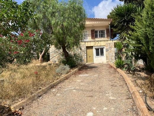 Torrevieja, アリカンテの一戸建て住宅