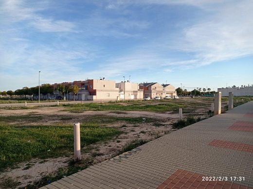 ‏קרקע ב  Torre-Pacheco, Murcia