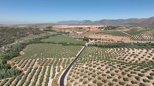 Land in Albolote, Granada