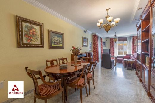 Apartment in Granada, Andalusia