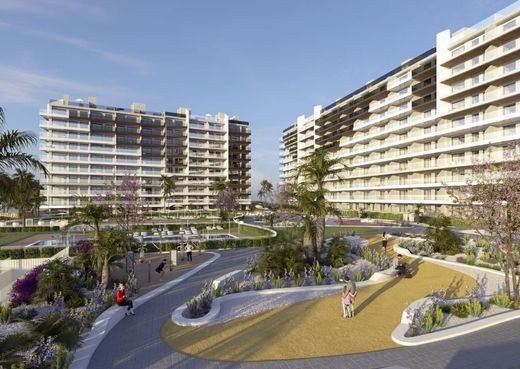 Daire Torrevieja, Provincia de Alicante