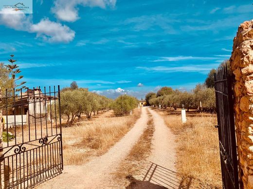 Luxury home in Llucmajor, Province of Balearic Islands