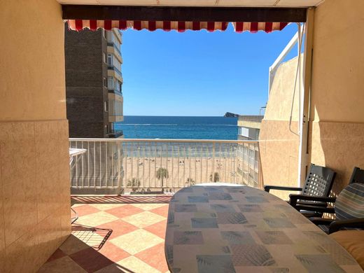 Apartamento - Benidorm, Provincia de Alicante