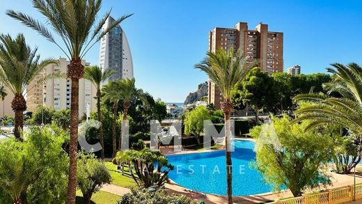 Apartamento - Benidorm, Provincia de Alicante