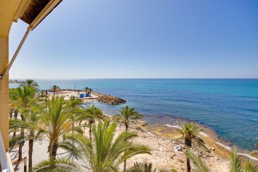 Daire Torrevieja, Provincia de Alicante