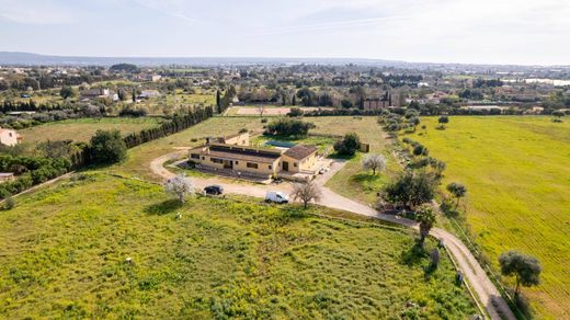 Rural ou fazenda - Palma de Maiorca, Ilhas Baleares